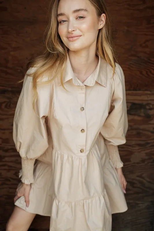 Long Sleeve Baby Doll Dress (Taupe)